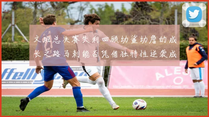 文班总决赛失利回顾幼鲨幼詹的成长之路马刺能否凭借独特性逆袭成功